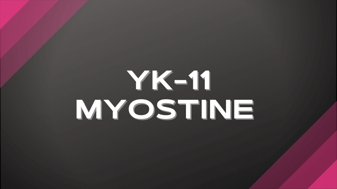 YK-11 Top List